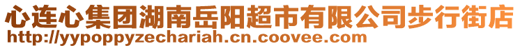 心連心集團湖南岳陽超市有限公司步行街店