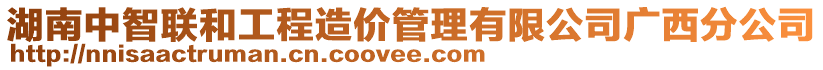 湖南中智联和工程造价管理有限公司广西分公司