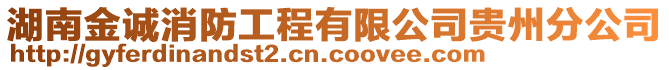 湖南金誠消防工程有限公司貴州分公司