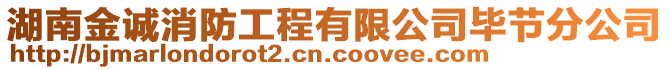 湖南金誠消防工程有限公司畢節(jié)分公司