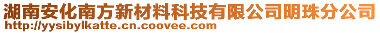 湖南安化南方新材料科技有限公司明珠分公司