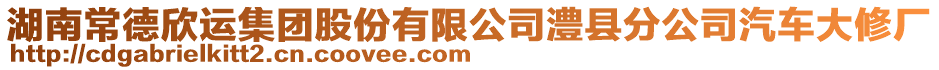 湖南常德欣運集團股份有限公司澧縣分公司汽車大修廠