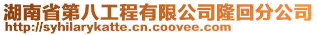 湖南省第八工程有限公司隆回分公司