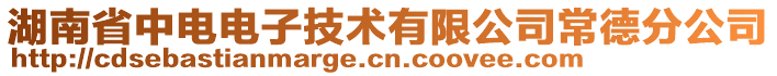 湖南省中電電子技術有限公司常德分公司
