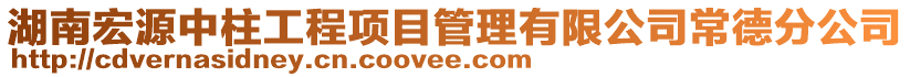 湖南宏源中柱工程項目管理有限公司常德分公司