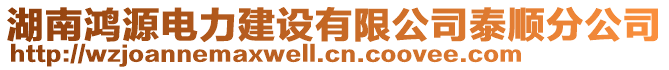 湖南鴻源電力建設(shè)有限公司泰順?lè)止? style=