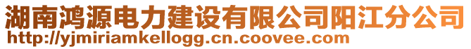 湖南鴻源電力建設(shè)有限公司陽江分公司