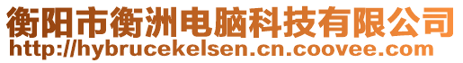 衡陽市衡洲電腦科技有限公司