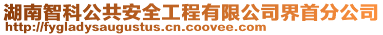 湖南智科公共安全工程有限公司界首分公司