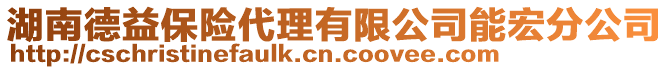 湖南德益保險代理有限公司能宏分公司