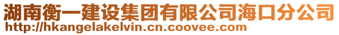 湖南衡一建設集團有限公司?？诜止? style=