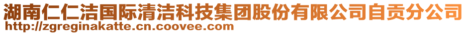 湖南仁仁潔國際清潔科技集團股份有限公司自貢分公司