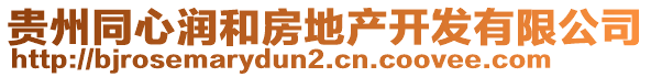 貴州同心潤(rùn)和房地產(chǎn)開發(fā)有限公司