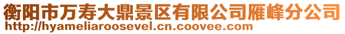 衡陽市萬壽大鼎景區(qū)有限公司雁峰分公司