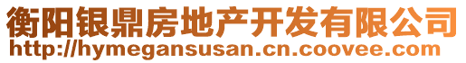 衡陽(yáng)銀鼎房地產(chǎn)開(kāi)發(fā)有限公司