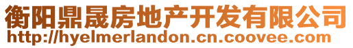 衡陽鼎晟房地產開發有限公司