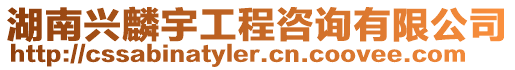 湖南興麟宇工程咨詢有限公司