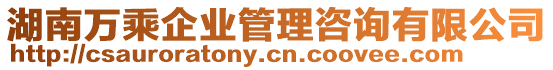 湖南萬乘企業(yè)管理咨詢有限公司