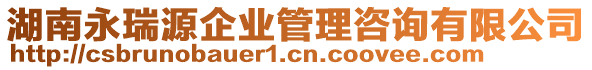 湖南永瑞源企業(yè)管理咨詢有限公司