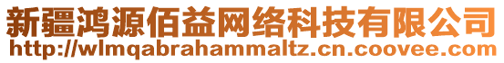 新疆鴻源佰益網(wǎng)絡(luò)科技有限公司