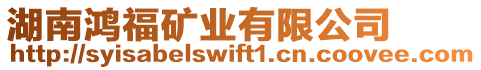 湖南鴻福礦業(yè)有限公司