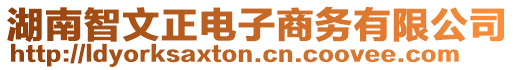 湖南智文正電子商務有限公司