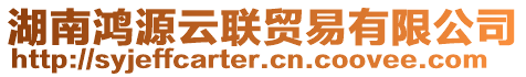 湖南鴻源云聯(lián)貿易有限公司