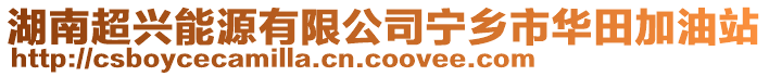 湖南超興能源有限公司寧鄉市華田加油站