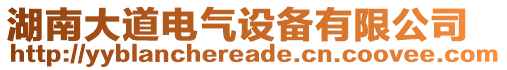 湖南大道電氣設備有限公司