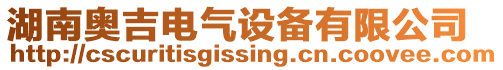 湖南奧吉電氣設(shè)備有限公司