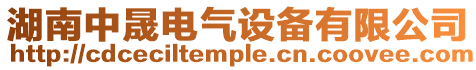 湖南中晟電氣設備有限公司