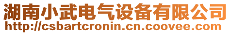 湖南小武電氣設(shè)備有限公司