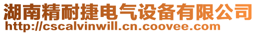 湖南精耐捷電氣設備有限公司