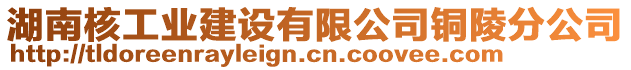 湖南核工業建設有限公司銅陵分公司