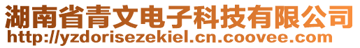 湖南省青文電子科技有限公司