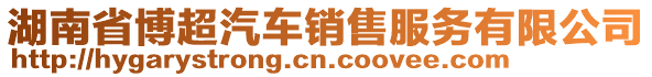 湖南省博超汽車銷售服務(wù)有限公司