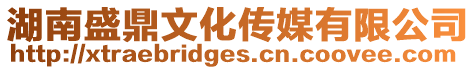 湖南盛鼎文化傳媒有限公司