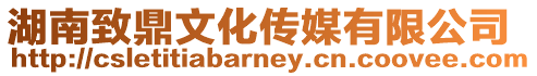 湖南致鼎文化傳媒有限公司