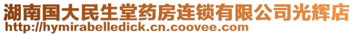 湖南國大民生堂藥房連鎖有限公司光輝店