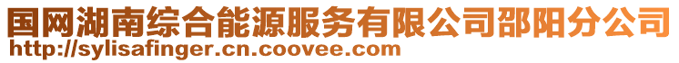 國(guó)網(wǎng)湖南綜合能源服務(wù)有限公司邵陽(yáng)分公司