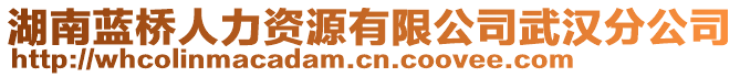 湖南藍(lán)橋人力資源有限公司武漢分公司