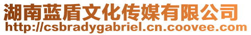 湖南藍(lán)盾文化傳媒有限公司