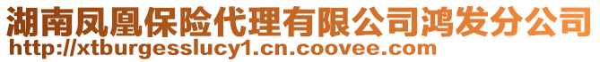 湖南鳳凰保險(xiǎn)代理有限公司鴻發(fā)分公司