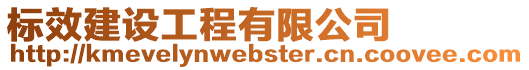 標(biāo)效建設(shè)工程有限公司