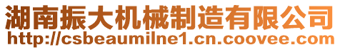 湖南振大機械制造有限公司