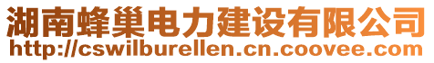湖南蜂巢電力建設(shè)有限公司