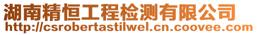 湖南精恒工程檢測有限公司