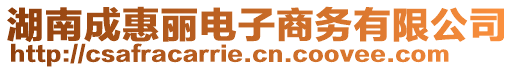 湖南成惠麗電子商務(wù)有限公司