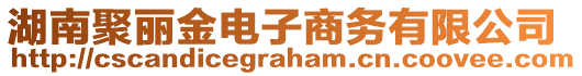 湖南聚麗金電子商務(wù)有限公司