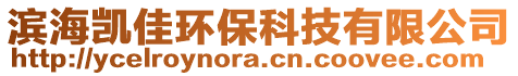 濱海凱佳環(huán)保科技有限公司